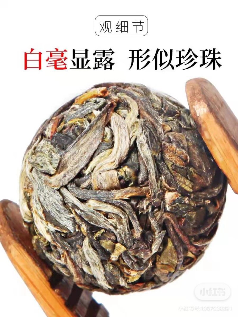 普洱龙珠茶