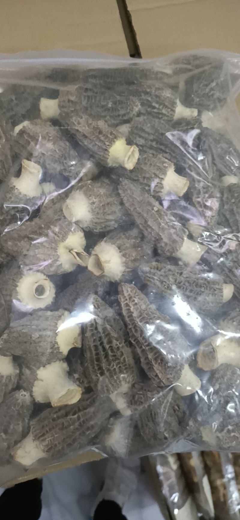 羊肚菌，人工种植栽培羊肚菌，烘干羊肚菌，食用菌。