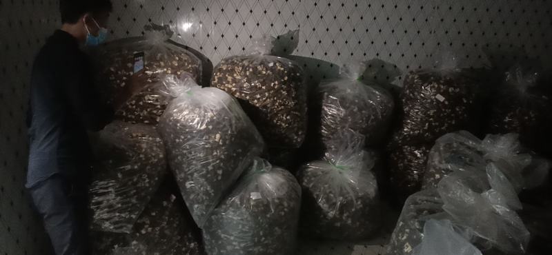 羊肚菌，人工种植栽培羊肚菌，烘干羊肚菌，食用菌。