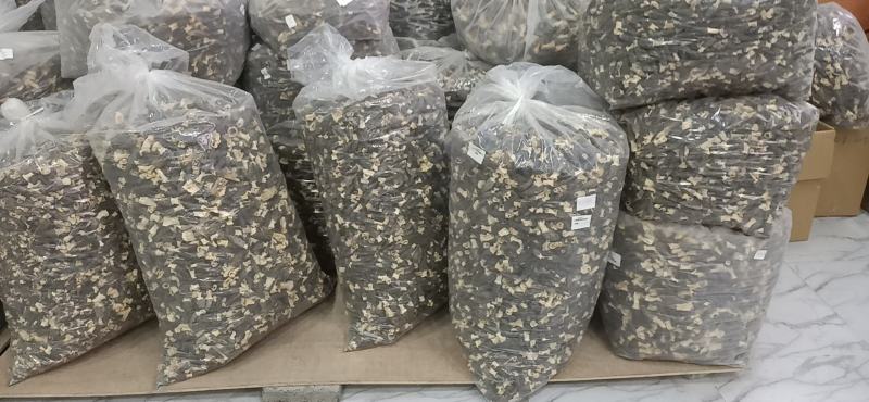 羊肚菌，人工种植栽培羊肚菌，烘干羊肚菌，食用菌。