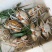 青蟹