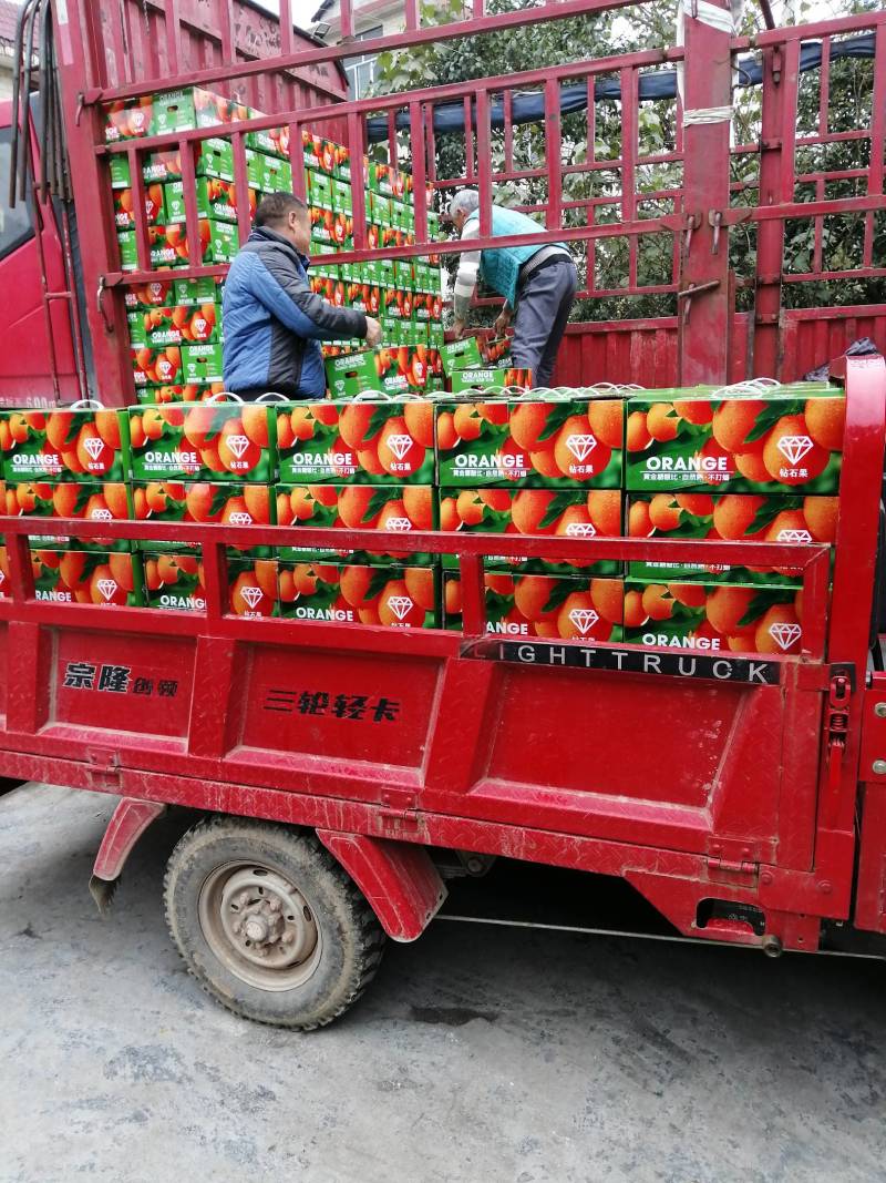 【精品】脐橙大量上市果面好，水分充足个头大欢迎致电