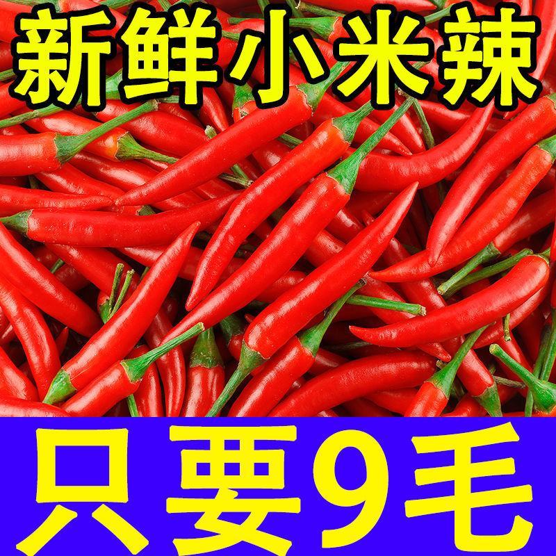 小米椒高辣小米辣鲜辣椒专业发市场电商一件代发日发万单