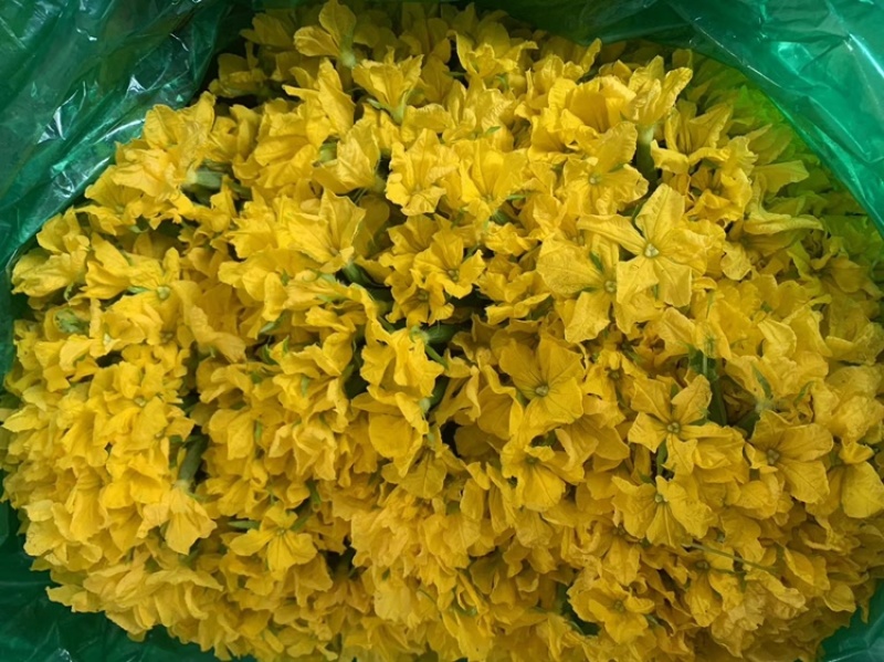 黄瓜花小黄瓜花山东寿光小黄瓜基地直供常年有货