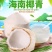 海南特产椰青批发产地直销现厂加工