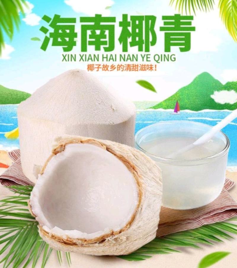 海南特产椰青批发产地直销现厂加工