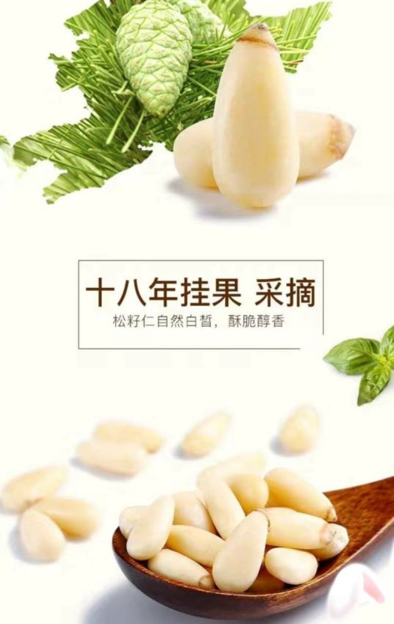 原味东北松子仁无壳熟松子仁零食松子干果酥脆醇香美
