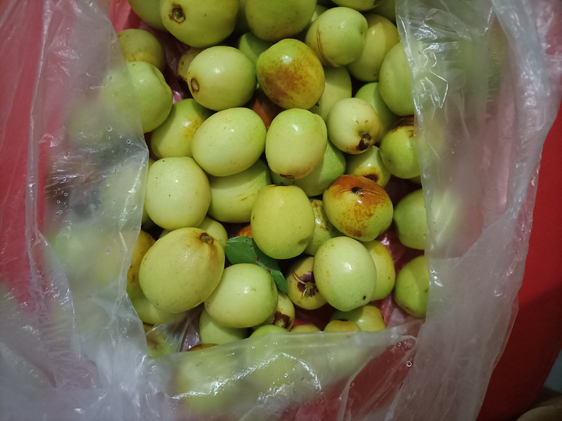 脆枣与大枣对比图