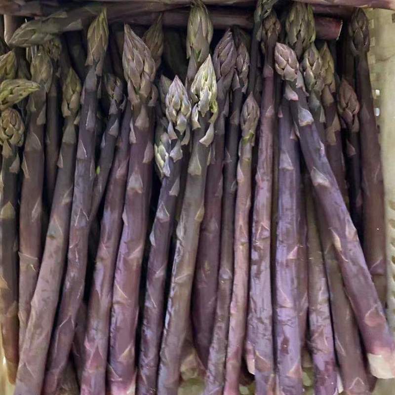 新鲜芦笋农村自种鲜嫩直达现采现发农家自种鲜嫩脆