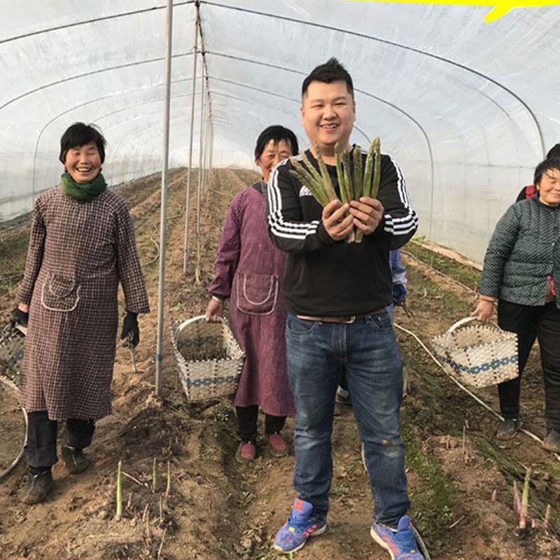 新鲜芦笋农村自种鲜嫩直达现采现发农家自种鲜嫩脆