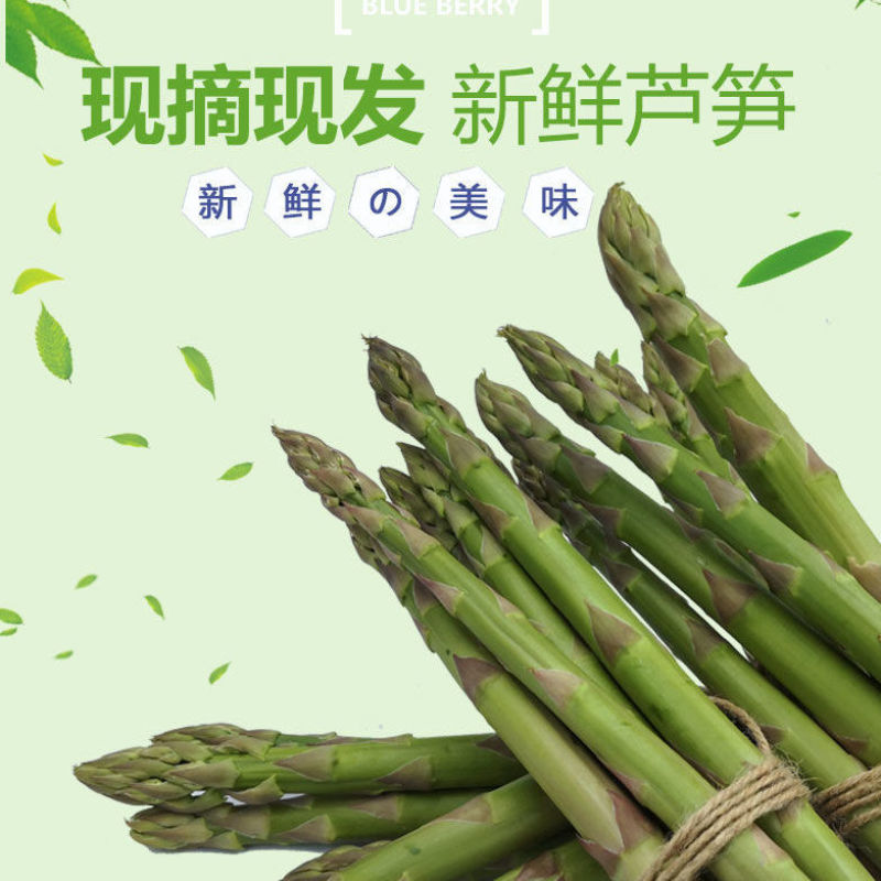 新鲜芦笋农村自种鲜嫩直达现采现发农家自种鲜嫩脆