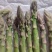 新鲜芦笋农村自种鲜嫩直达现采现发农家自种鲜嫩脆
