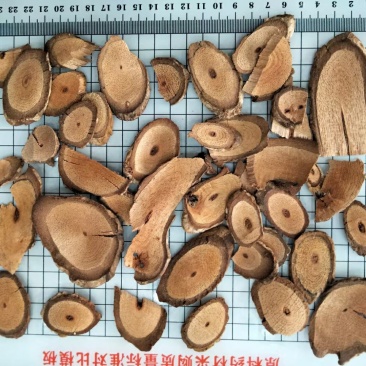 黑老虎黑老虎根片枝片量大从优欢迎选购！