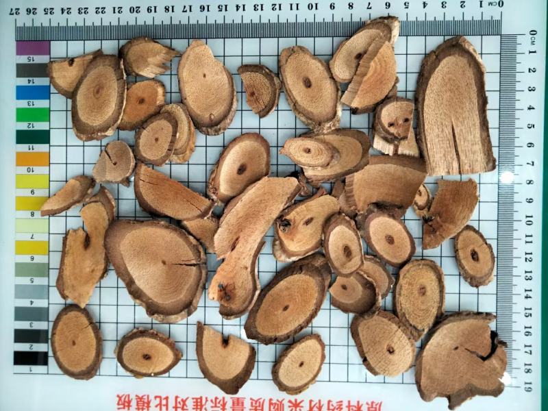 黑老虎黑老虎根片枝片量大从优欢迎选购！