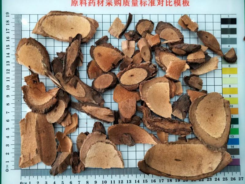 黑老虎黑老虎根片枝片量大从优欢迎选购！