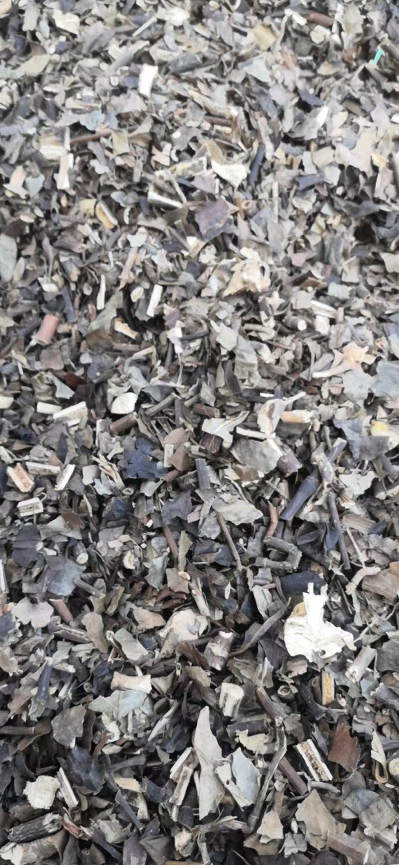 肿节风干货中药材干净无杂质量大从优