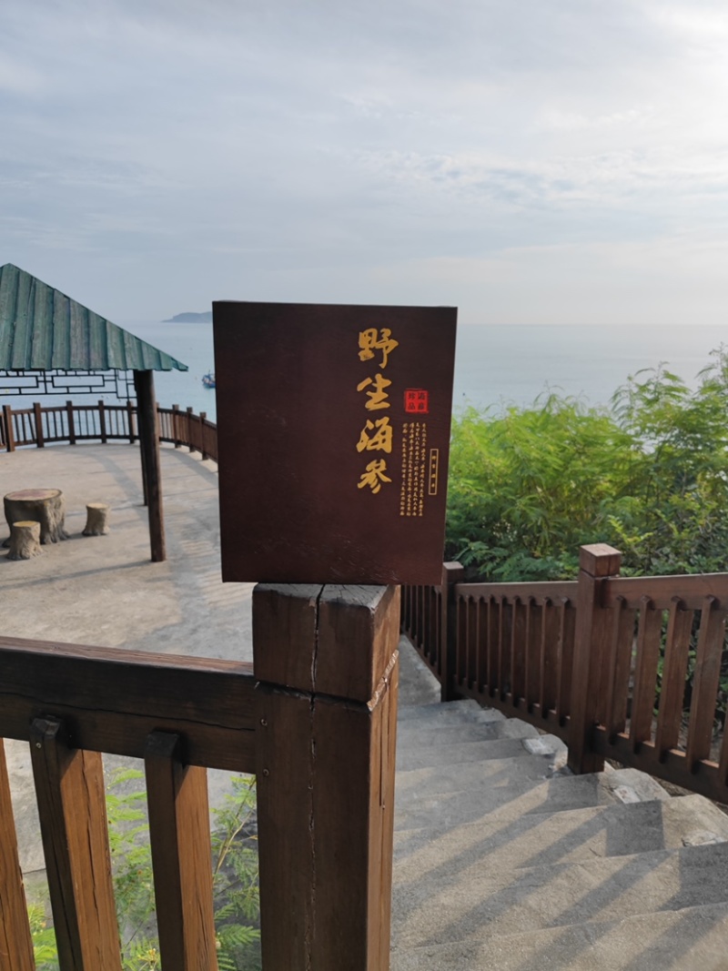 淡干海参礼盒海参干中秋送礼过节送礼滋补品礼盒干货海参礼盒