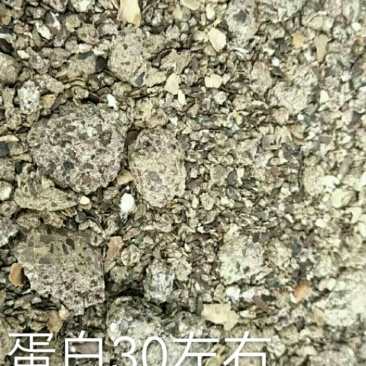 印度进口蓖麻粕，国标饼肥，有机质90