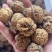云南麻子核桃薄皮核桃方果大优果云南薄皮核桃