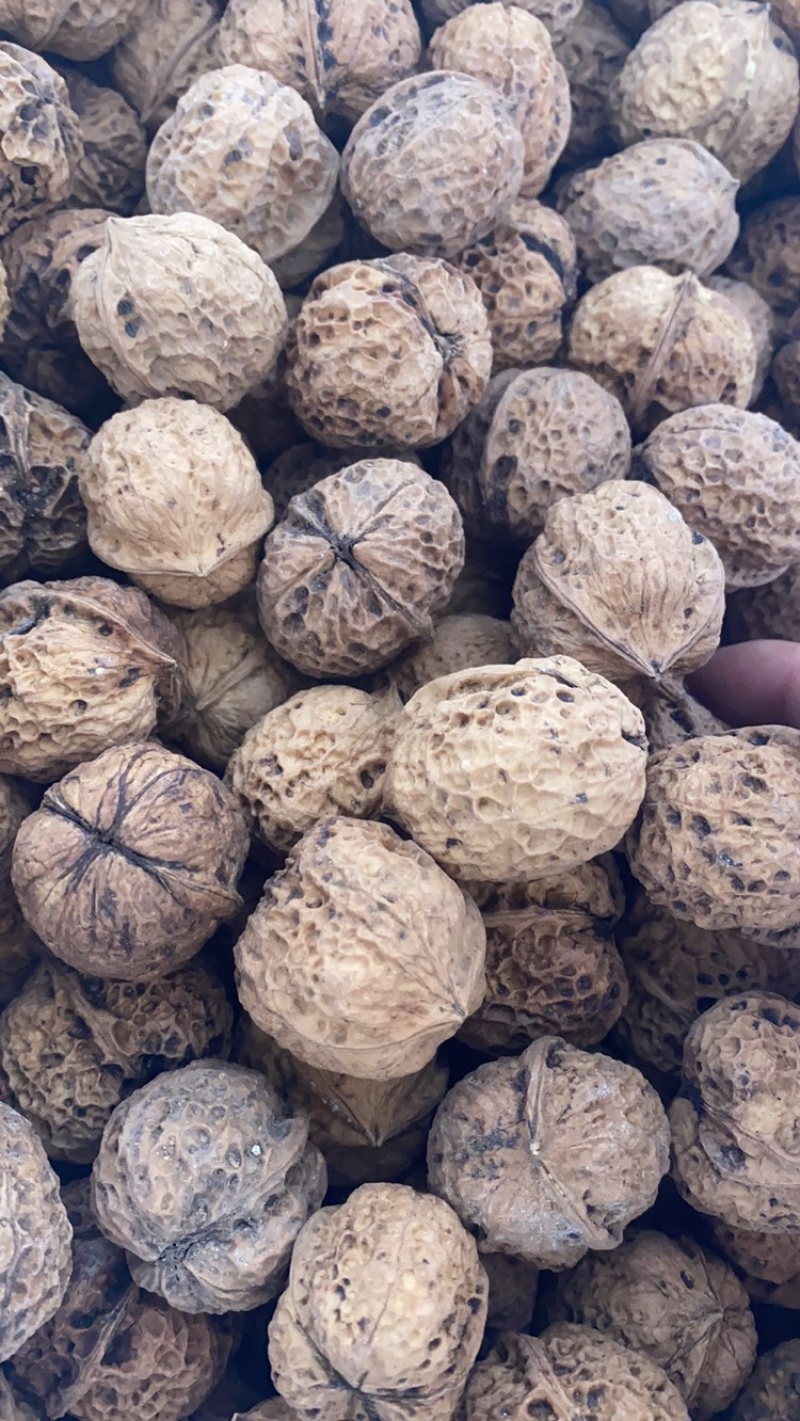 云南麻子核桃薄皮核桃方果大优果云南薄皮核桃