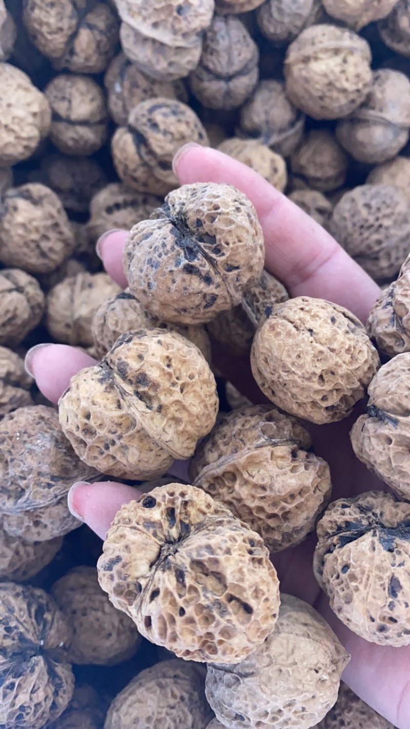 云南麻子核桃薄皮核桃方果大优果云南薄皮核桃