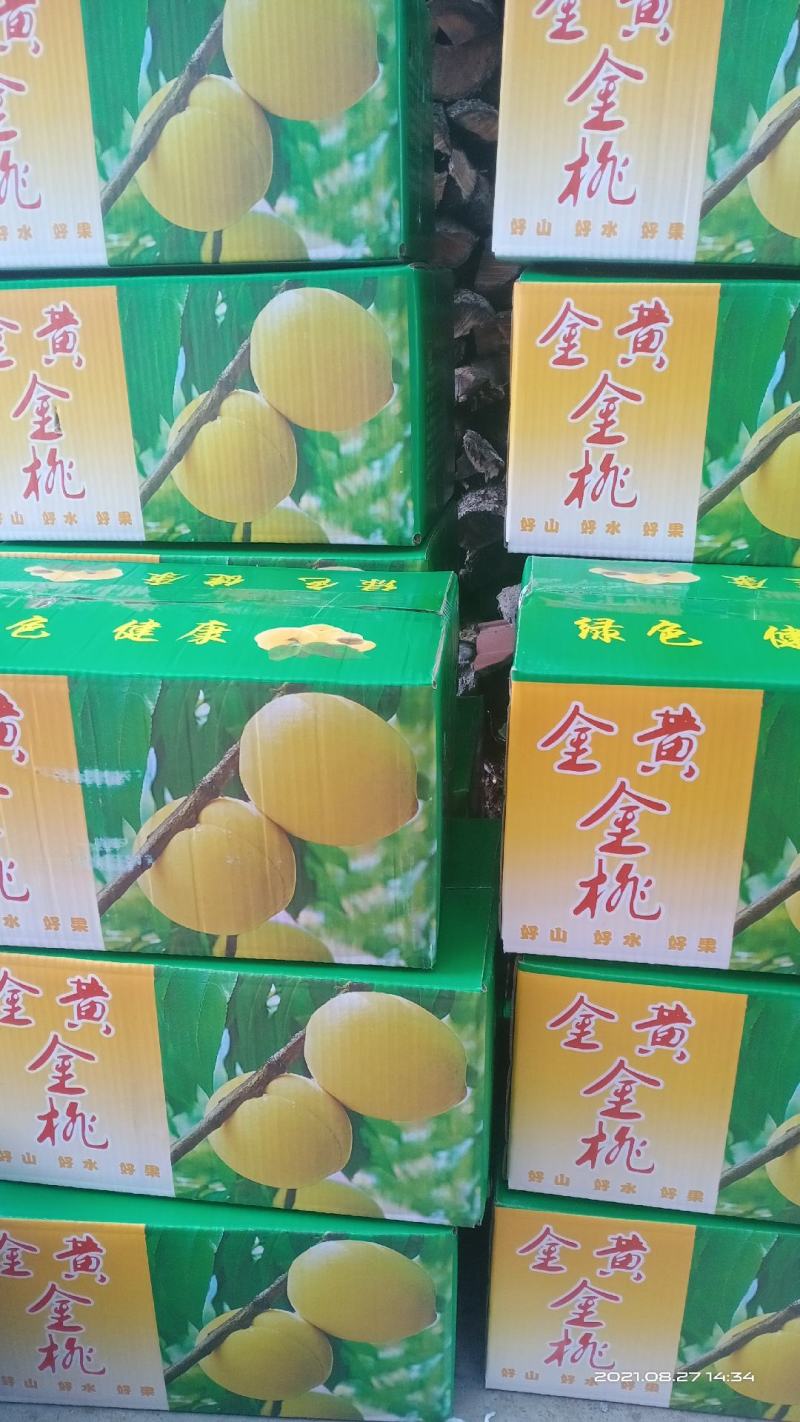 黄金黄桃金黄金黄桃，6-10月份供应，各种桃苗苹果苗。离
