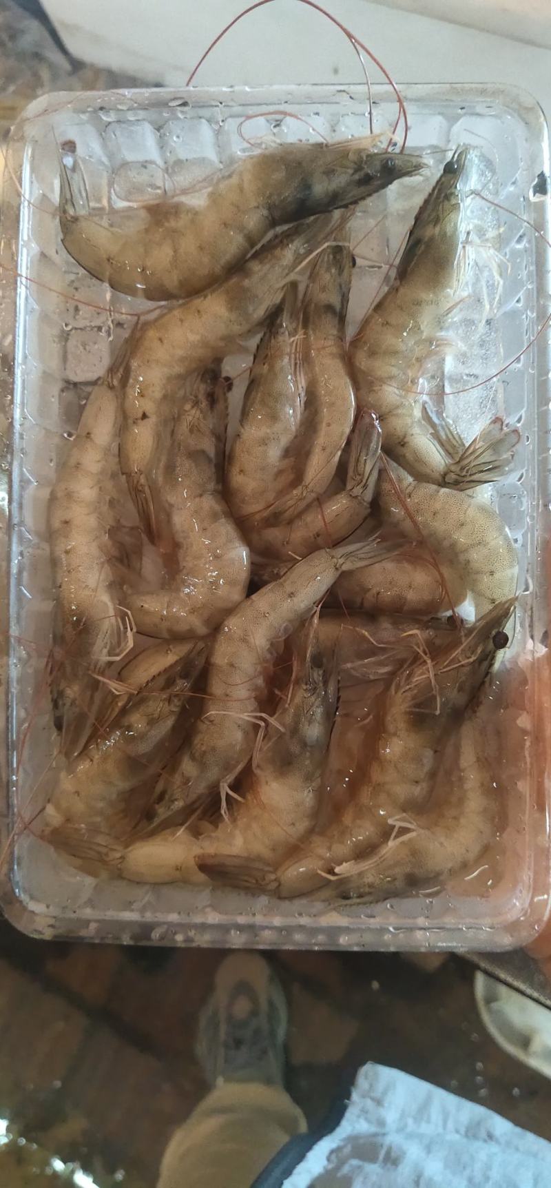 冻虾