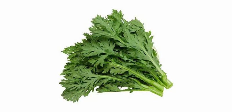 精品茼蒿菜毛菜都有山东潍坊产地货质量好，