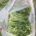精品茼蒿菜毛菜都有山东潍坊产地货质量好，