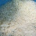 大量提供凉薯丁0.6