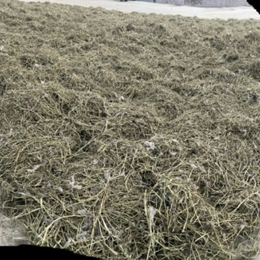 辽宁大连精品花生秧饲料牛羊草粉大量供应欢迎采购量大从优