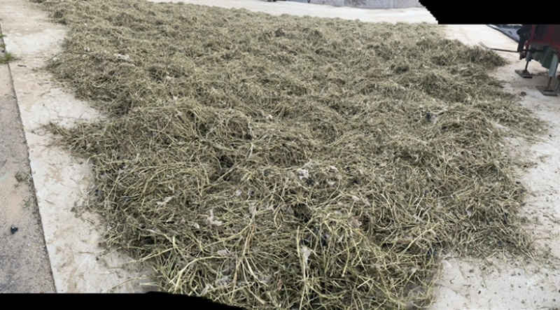 辽宁大连精品花生秧饲料牛羊草粉大量供应欢迎采购量大从优