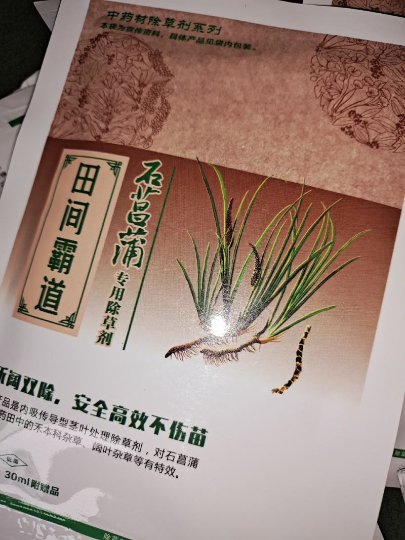 石昌蒲中药材除草，不伤根，不伤苗