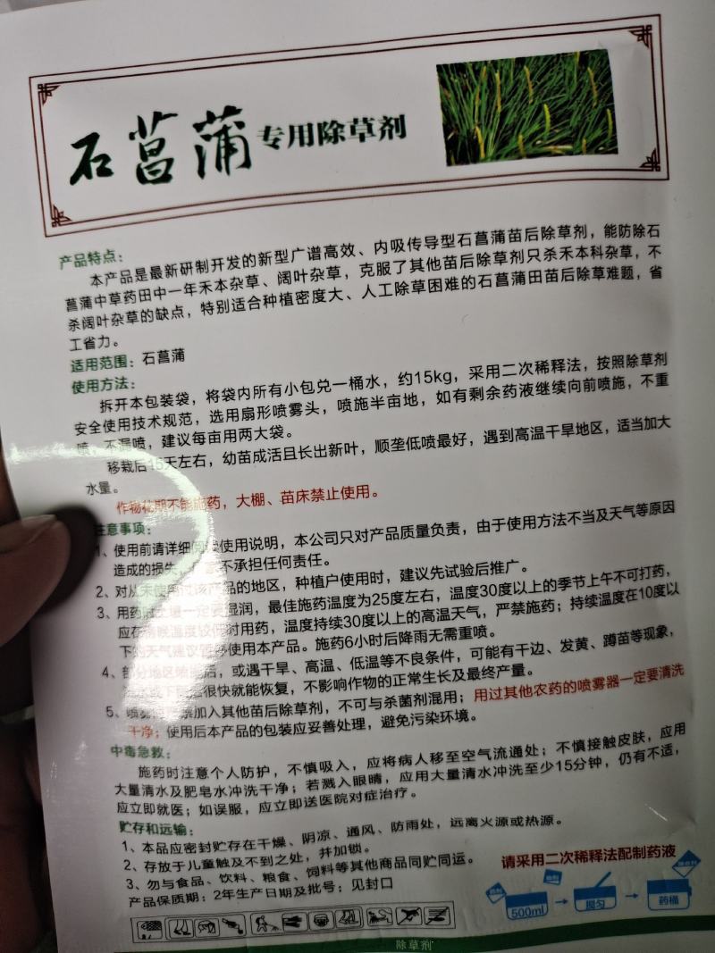 石昌蒲中药材除草，不伤根，不伤苗