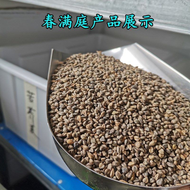 荞麦种子甜荞麦天然荞麦养蜂蜜源牧草种子抗病虫抗倒伏
