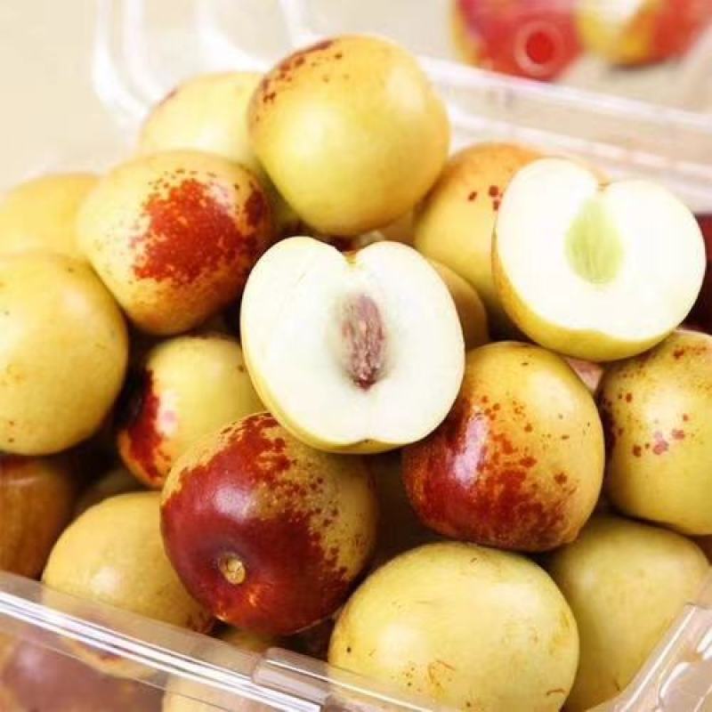 鲜枣