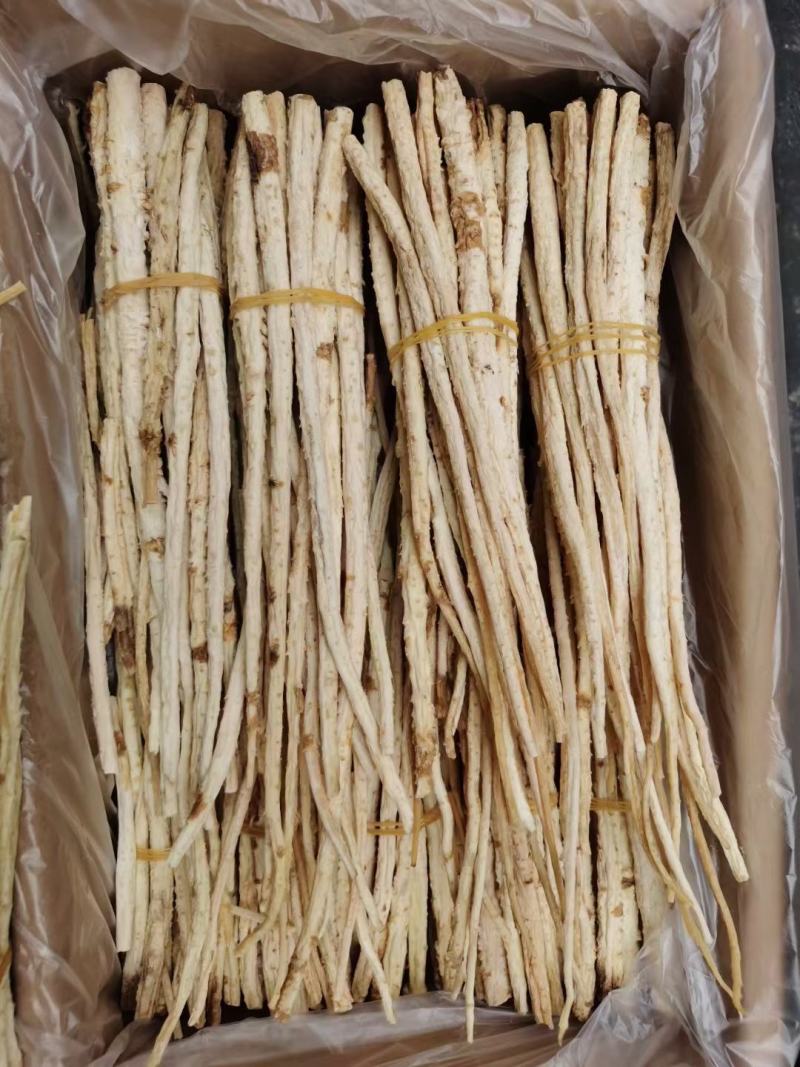 北沙参内蒙纯无硫北沙参沙参节沙参粒量大从优