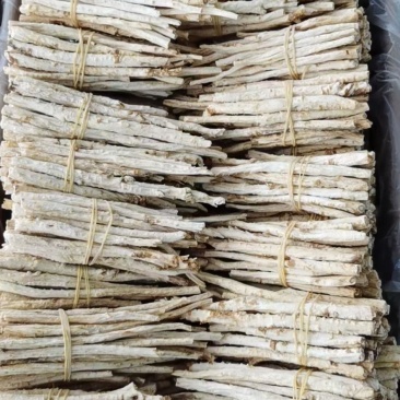 北沙参内蒙纯无硫北沙参沙参节沙参粒量大从优