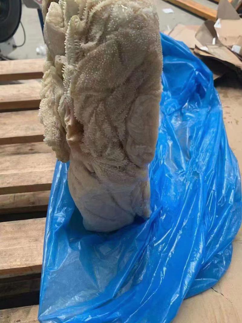 【精选】河南牛百叶品质保证价格实惠量大从优欢迎采购