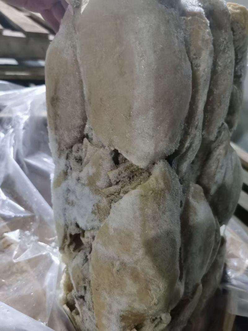 【精选】河南牛百叶品质保证价格实惠量大从优欢迎采购
