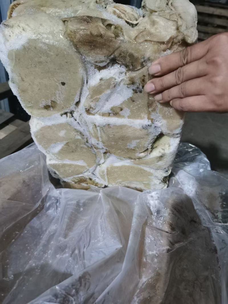 【精选】河南牛百叶品质保证价格实惠量大从优欢迎采购