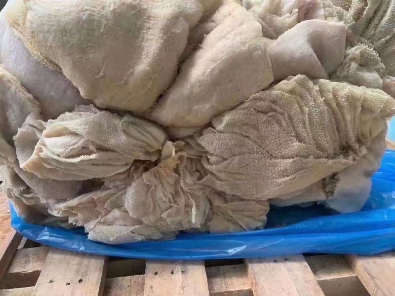 【精选】河南牛百叶品质保证价格实惠量大从优欢迎采购