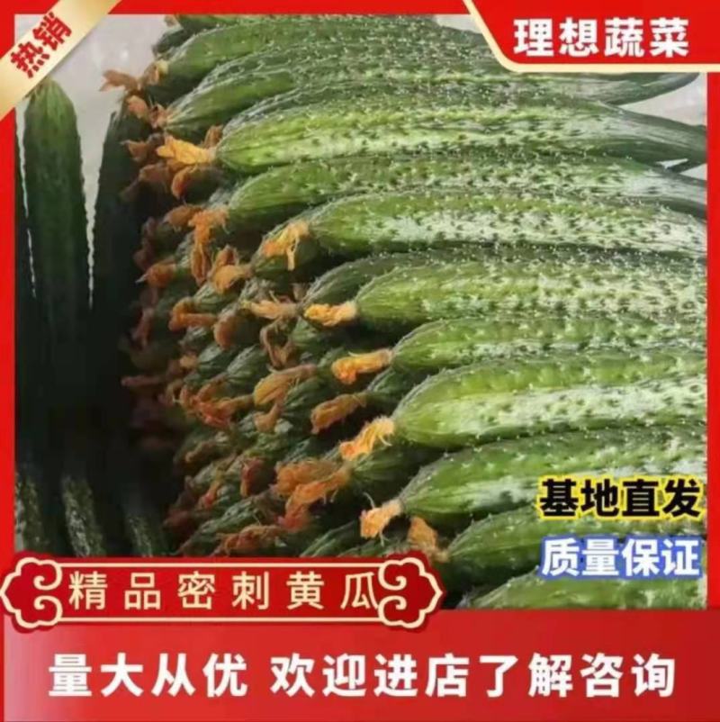 黄瓜密刺黄瓜黄瓜密刺口感好产地发货质量保证
