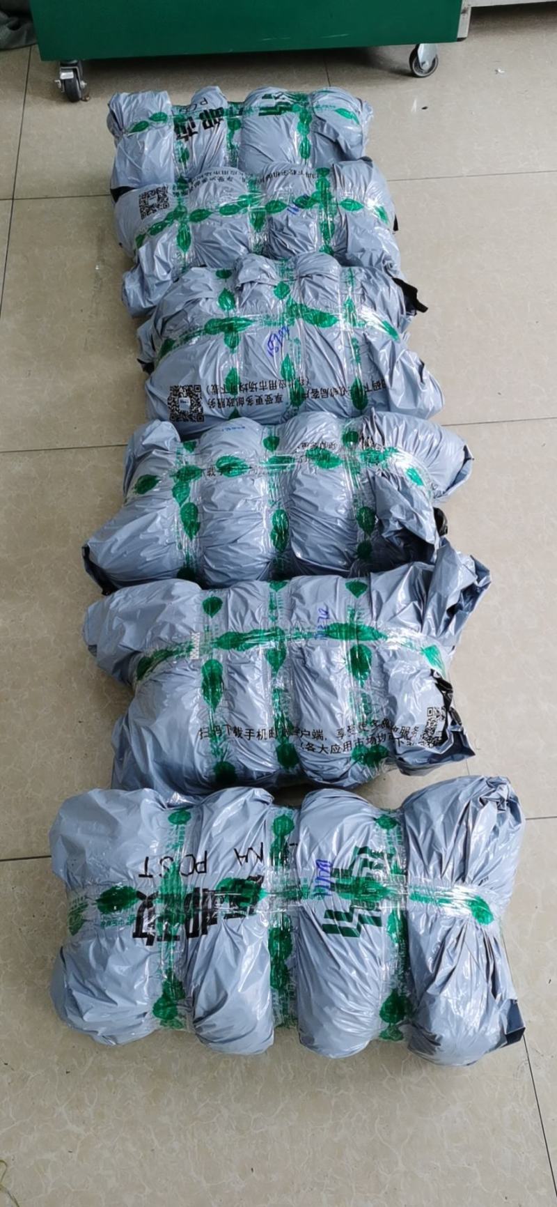 黄精子，多花姜型黄精子发芽率95%以上