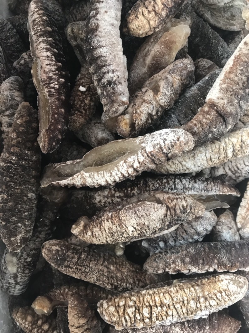 米刺参海参即食海参冻海参