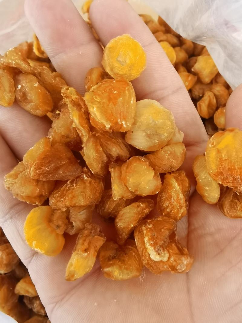 桂圆肉精选优质广西博白新货桂圆肉好吃不腻产地直销