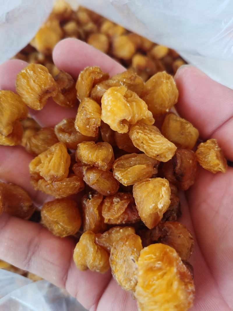桂圆肉精选优质广西博白新货桂圆肉好吃不腻产地直销