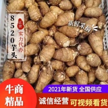 【热卖中】山东8520芋头香甜软糯产地直销货源充足量大从优