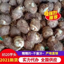 【2022新货】精品8520芋头香甜软糯大中小球规格