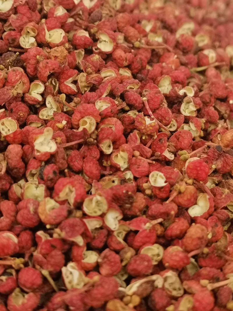 陕西花椒韩城大红袍花椒颗粒纯净货，可开发票，欢迎咨询